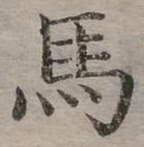 馬 위치 확인됨