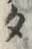 字タ