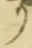 𡨸り