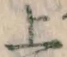 字上