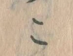 こ 위치 확인됨