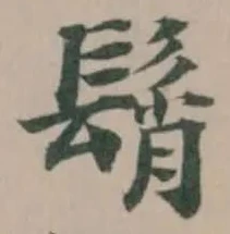 髾の位置