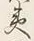 글자 夷