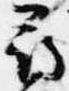 已定位尋