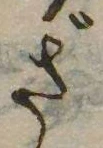 Đã định vị さ