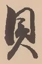 已定位貝
