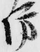 已定位坊