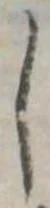 𛁅 위치 확인됨
