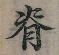 位置定マレル脊