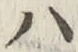 글자 ハ