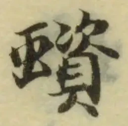 蠀の位置
