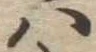 𛂞 위치 확인됨