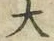 글자 大