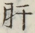 Chữ 肝
