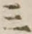 位置定マレル三