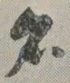 글자 名