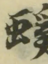 蝯の位置