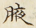 文字腋