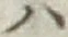 字ハ