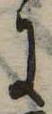 Đã định vị 𛂌