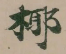 椰の位置