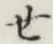 글자 せ