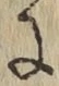Chữ に