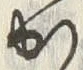 字か