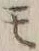 字モ