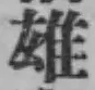 文字 雄