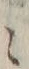 “シ”字