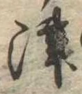 津 위치 확인됨