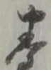 養 위치 확인됨