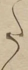 已定位𛁠