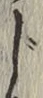 글자 じ