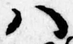 Đã định vị 𛂞