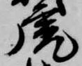 虎 위치 확인됨