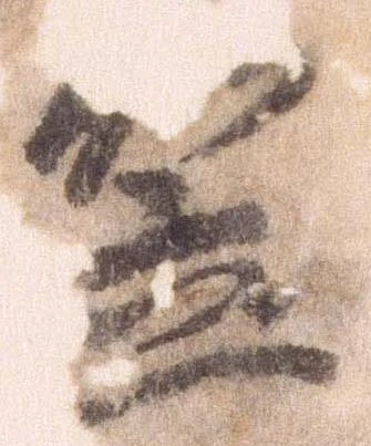 已定位笠