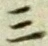 文字三