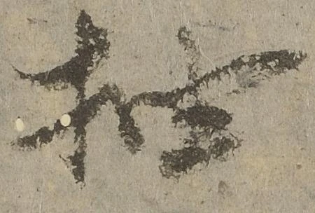 抽 위치 확인됨