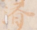 位置 確認된 済