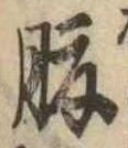 腹 위치 확인됨