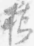 櫛 위치 확인됨