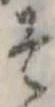 已定位そ