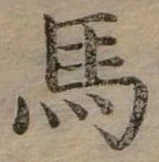 馬 위치 확인됨