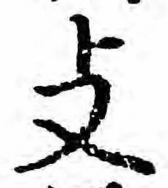 支の位置