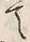 “て”字