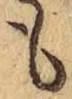 文字 も