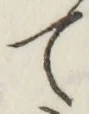 字て