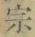 字宗